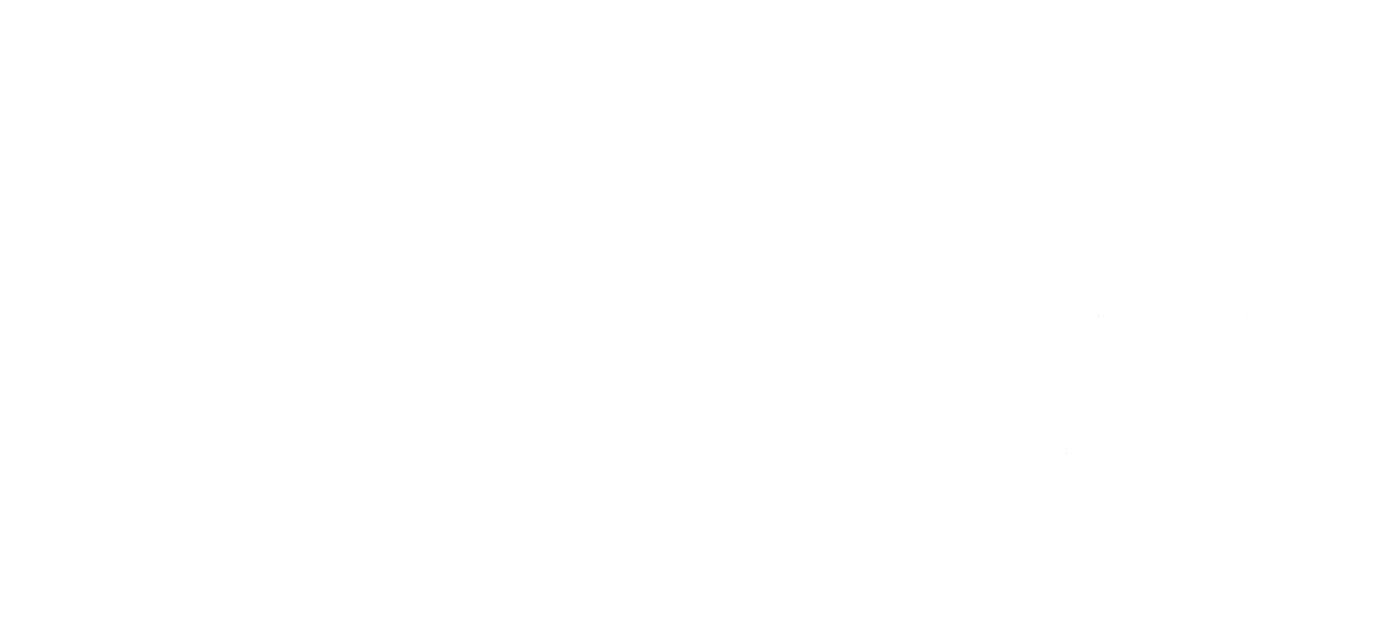 הלוגו שלנו